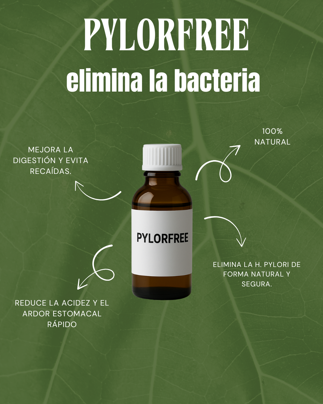 🍃 FREEPYLORY – Tratamiento Natural que Elimina la H. pylori