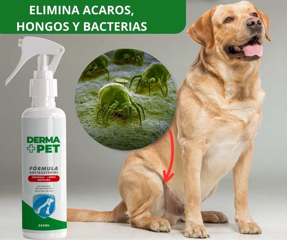 DermaPet- Adios Alergias + Envio Gratis